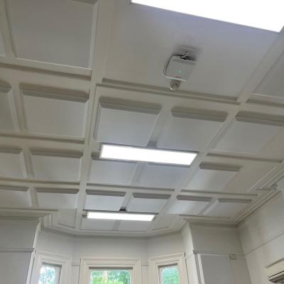 Video conference room, Prince of Wales Hospital