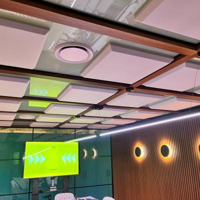 Opaque Perspex Ceiling